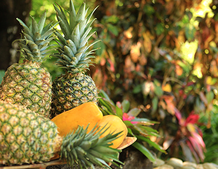 Fresh pineapples Aguila de Osa 