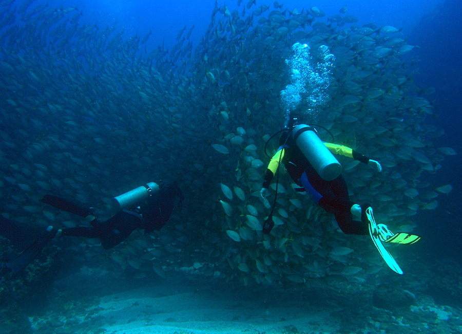 Scuba Dive Cano Island Costa Rica
