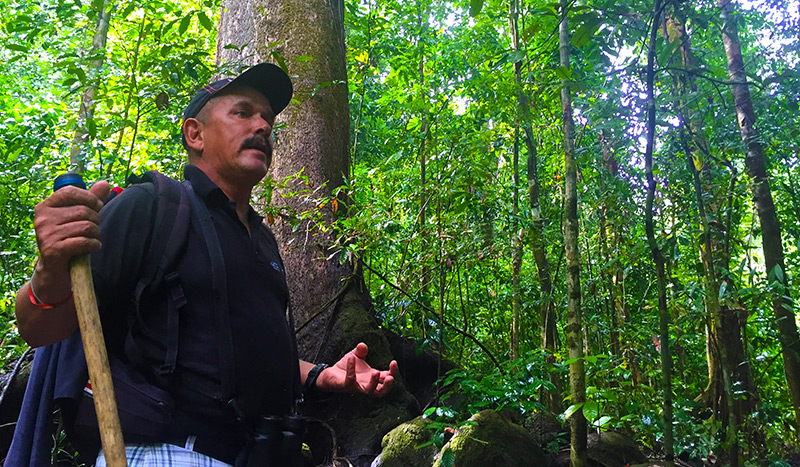 Corcovado jungle tour